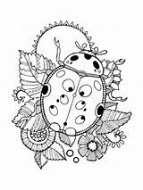 Ladybug Coloring Vector Illustration Adult Book Tattoo Stencil Dreamstime sketch template