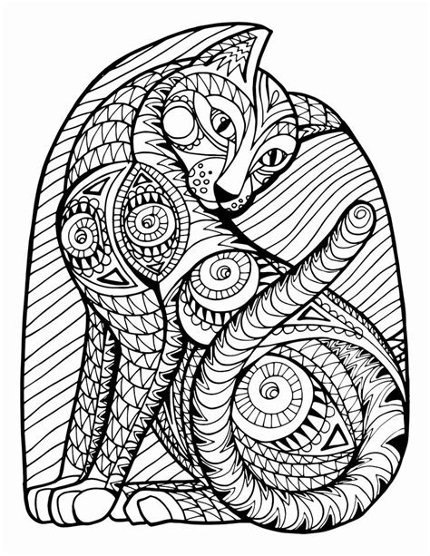 adult coloring books animals  images cat coloring page