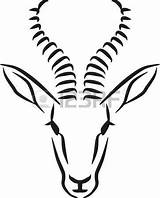 Springbok Gazelle Clipart Drawing Coloring Head Logo Stock Drawings Designlooter 77kb 450px Cliparts Caligraphy Style Clipground Getdrawings sketch template