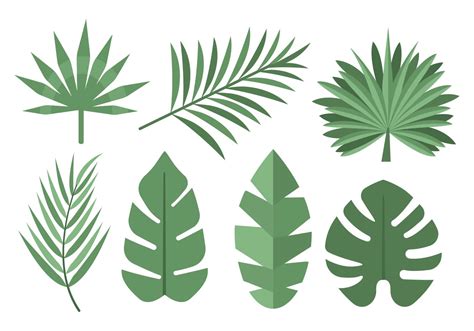 tropical palm leaves vector  vector art  vecteezy