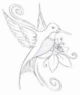 Hummingbird Coloring Drawing Pages Outline Easy Flower Drawings Bird Tattoo Pencil Humming Simple Color Sketch Tattoos Rocks Flowers Line Kids sketch template