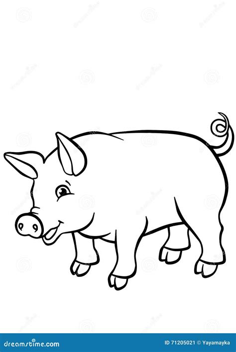 coloring pages animals  cute pig stock vector illustration