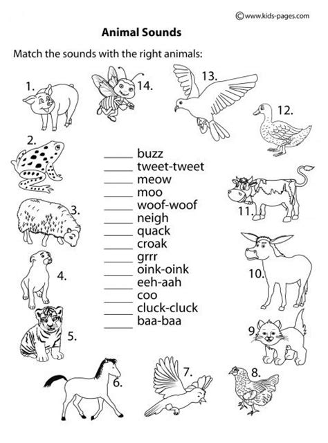 animal worksheets printable worksheets  kids kindergarten