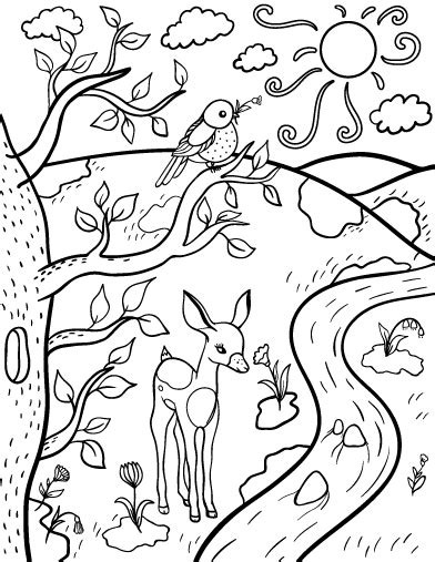 spring coloring page spring coloring pages coloring pages