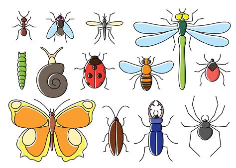 insects set  flat style  art bugs icon collection  vector art  vecteezy