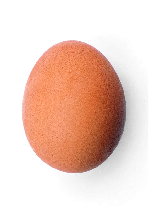 filechicken egg   jpg wikimedia commons