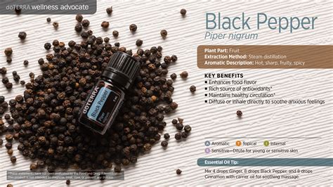 Black Pepper Oil Dōterra Essential Oils