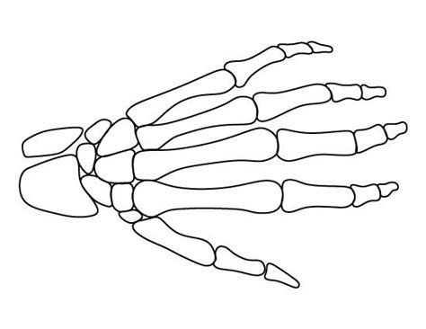 pin  sebastian hunter  style halloween skeletons skeleton hands