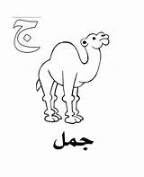 Coloring Arabic Pages Calligraphy Colouring Caravan Getcolorings Words Camel Alphabet sketch template