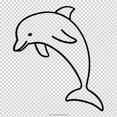 river dolphin drawing computer icons dolphin marine mammal animals