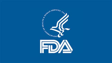 fda guidance  pma supplement decision making process real time