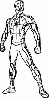 Pages Spider Man Spiderman Coloring Colouring Pose Halloween Color Printable Marvel Kids Drawing Print Superhero Sheets Boys Easy Cool Hulk sketch template