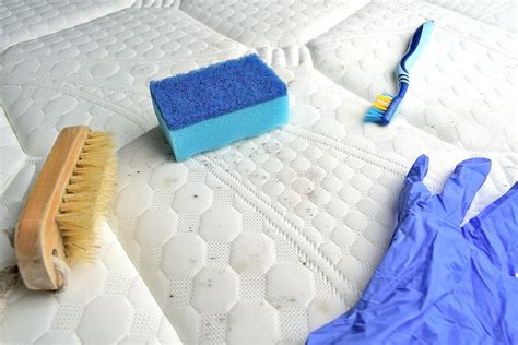 remove mold  fabric furniture   ways