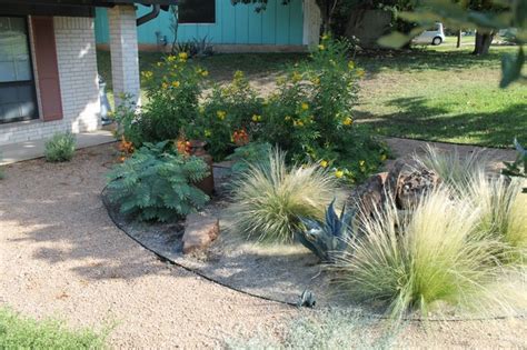 austin native landscaping portfolio colorful texas native plants