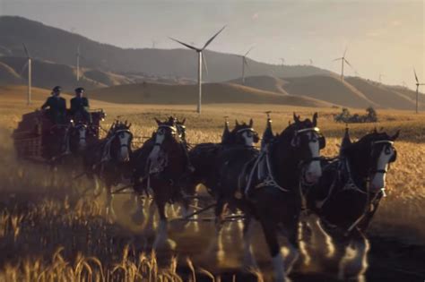 budweiser s super bowl commercial featuring clydesdales and wind power draws big numbers online