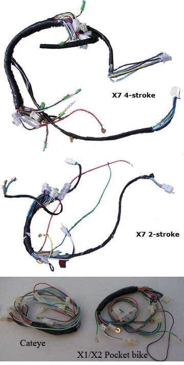 cc pocket bike wiring diagram diagram resource gallery