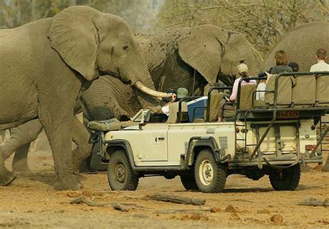 Chobe National Park Botswana Search Attractions