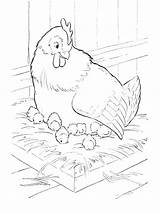 Chicken Coloring Pages Hen Kids Farm Printable Sheets Bestcoloringpagesforkids Choose Board Book sketch template