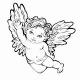 Angel Cherub Engel Angels Cherubs Cupid Cute Engelen Zeichnung Clipartmag ángel sketch template