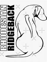 Ridgeback Rhodesian Outline Sticker Redbubble Removable Resistant Durable Laptops Decorate Personalize Stickers Kiss Vinyl Windows Cut Super Water sketch template