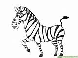 Zebra Gambar Mewarnai Wikihow Sketsa Hewan Menggambar Zebras Step Koleksi Animale Listras Outlines Contorno sketch template