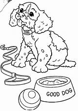 Poodle Soppy sketch template