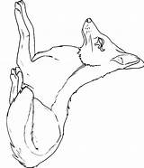 Jackal Coloring Pages Color Coyote Animals Animal Kids sketch template