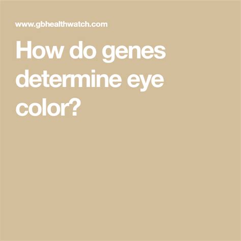 How Do Genes Determine Eye Color Eye Color Color Eyes