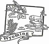 Coloring Wyoming Map Pages State Color Printable Arkansas Usa Tree Drawing Supercoloring Online Getcolorings States Dot sketch template
