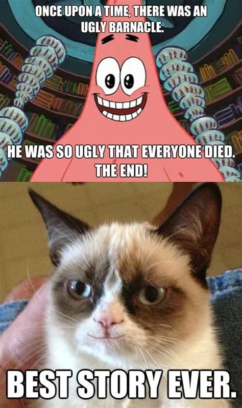 grumpy cat cats spongebob grumpycat quote funny grumpy cat meme cat memes animal