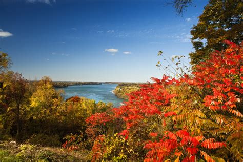 fall   notl inspired activities niagara