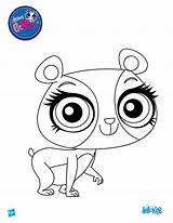 Littlest Ling Penny Petshop Lps Hellokids Coloriages Koala Petshops Yodibujo Zoe Adultos Pepper Australien Colorier Tiernos Shopy Kolorowanka Littest Sympa sketch template