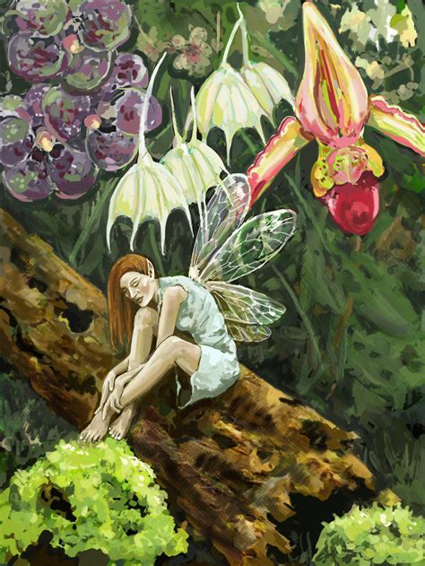 orchid fairy  mreach  deviantart