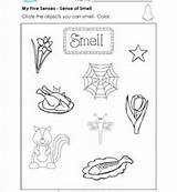Smell Senses sketch template