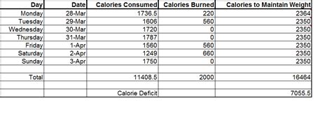 kayyaks journey exercise journal calorie deficit