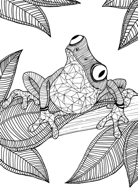 frog adult colouring page colouring  sheets art craft art