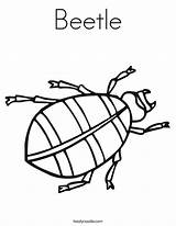 Beetle Coloring Pages Kids Twistynoodle Template Insect Noodle Outline Twisty Favorites Login Add Print Change sketch template