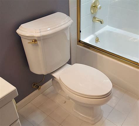 kohler portrait toilet  redesigned terry love plumbing remodel diy