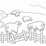 Sheep Pen Coloring Clipart Farm Pages Cliparts Clip Surfnetkids Animals Library Might Also These sketch template