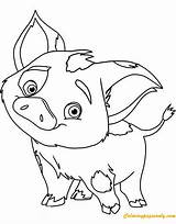 Moana Coloring Pages Pua Pig Baby Disney Piggy Miss Color Cute Drawing Printable Guinea Kids Picturethemagic Maui Disneyclips Realistic Printables sketch template
