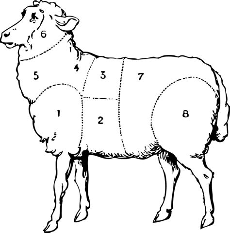 lamb meat classification royalty  vector graphic pixabay