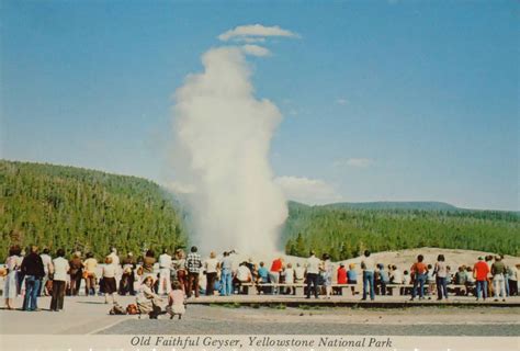 dynamic vintage old faithful geyser postcard yellowstone national park