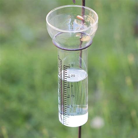 decorative rain gauge iron accents