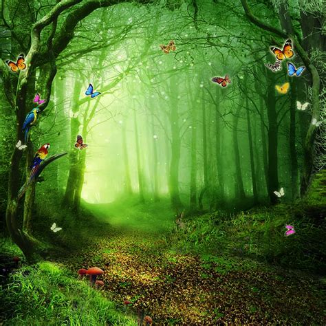 fairy tale forest scenic photography backdrops trees colorful butterflies kids children