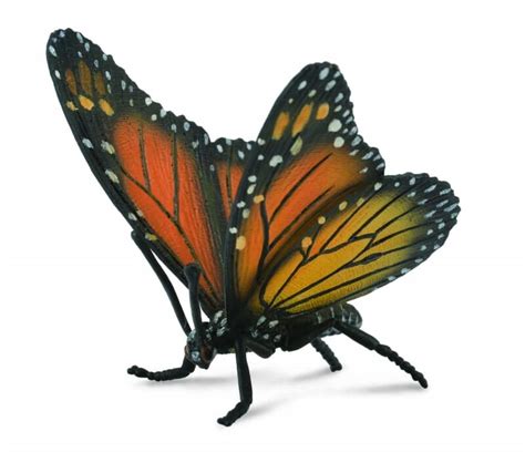 monarch butterfly toy model  collecta  redworld toys models
