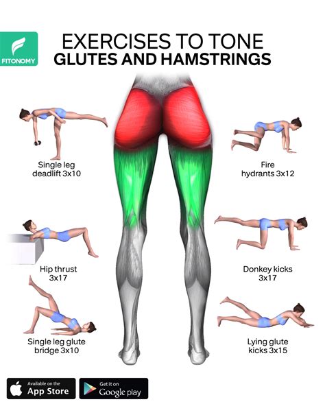 exercises  tone  glutes  hamstrings   fitness workout