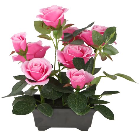 potted pink rose flowers walmartcom walmartcom