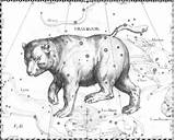 Ursa Minor Constellation Dipper Constellations Greek Astronomy Hevelius Peecnature Tails Depicts sketch template