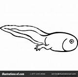 Tadpole Clipart Clipartmag sketch template