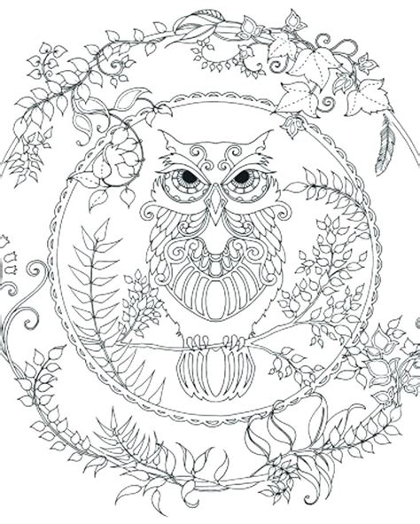 detailed owl coloring page  adults coloringrocks